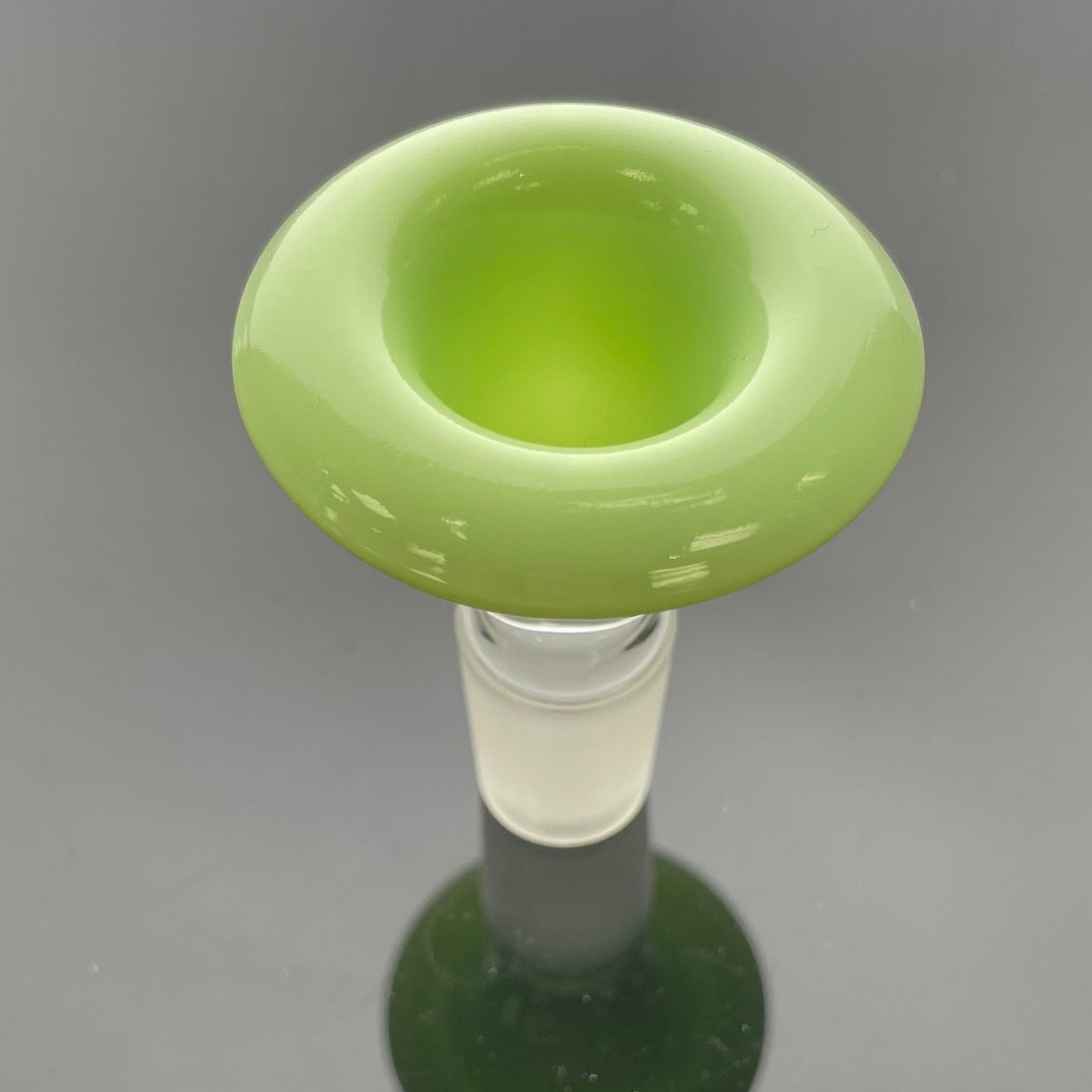 Philip Legge Collins Beaker w/ Colour Accents - Sprouts