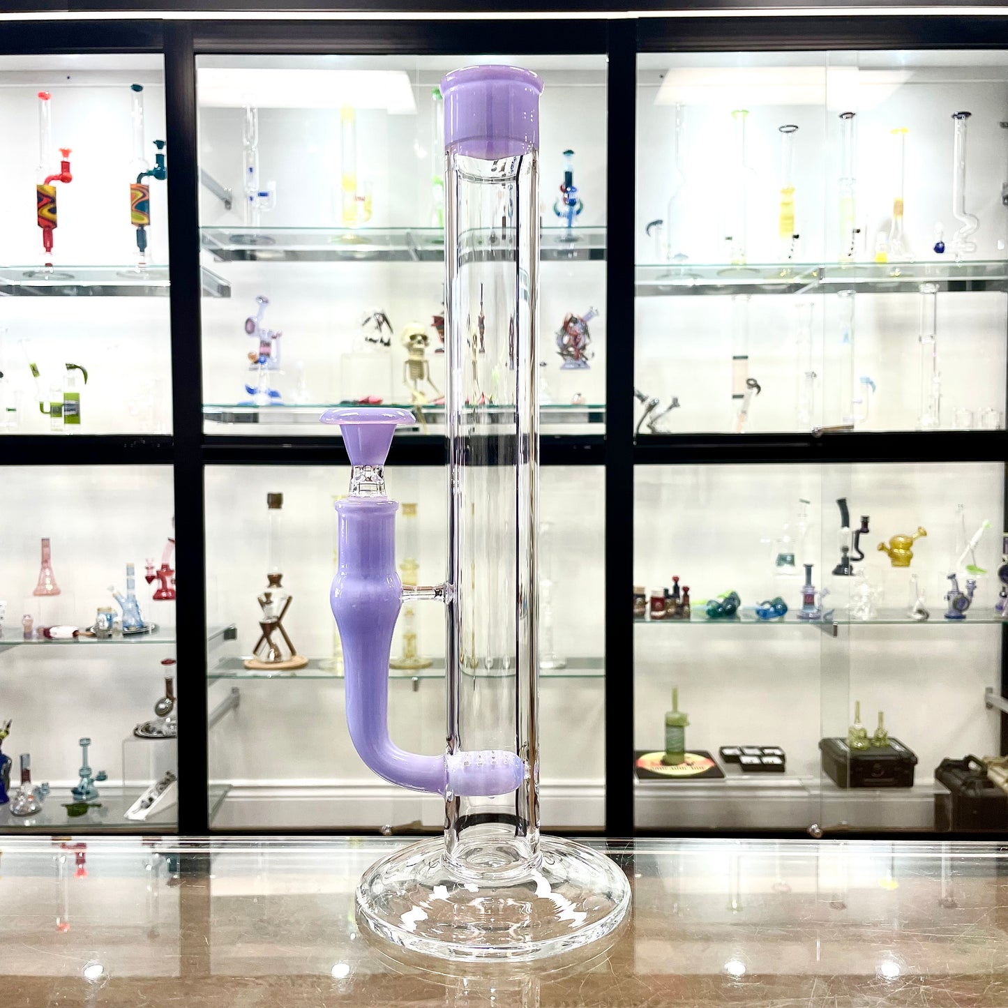 Philip Legge Medium Stemline w/ Colour Accents - Crocus
