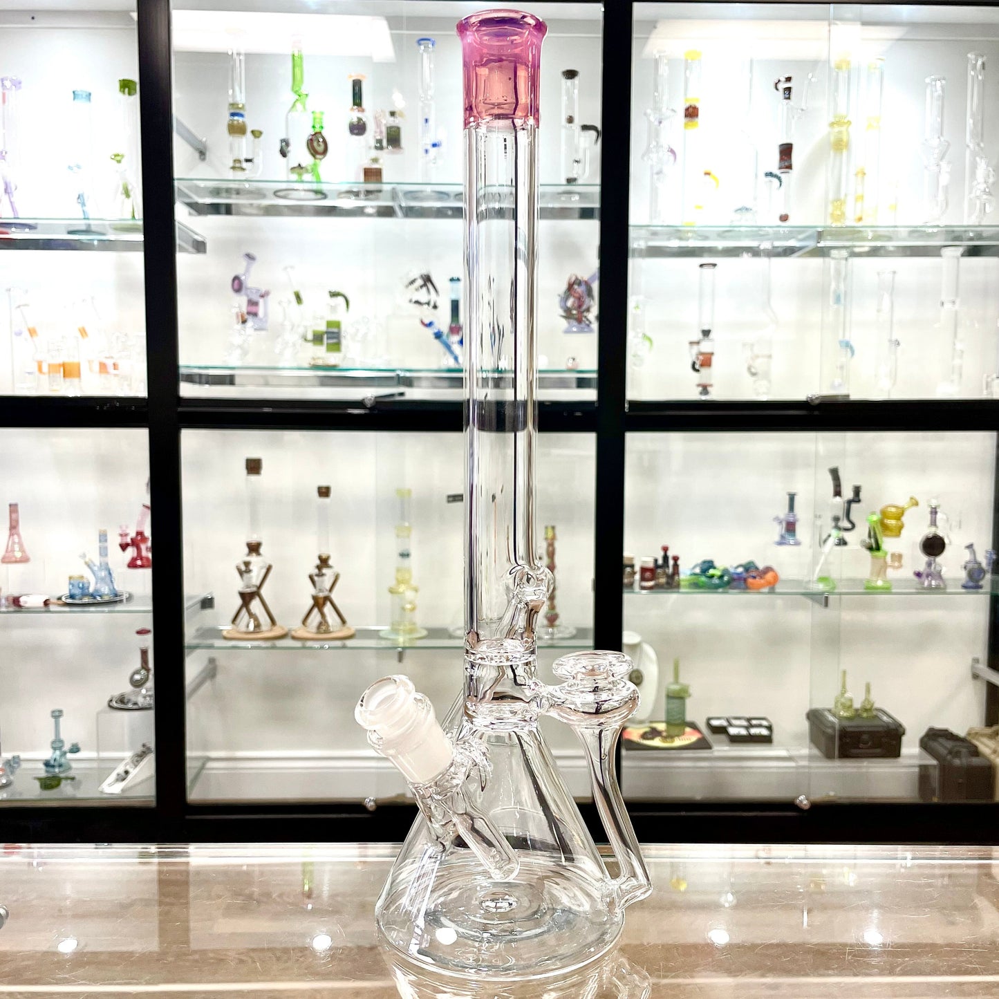 Discobox Colour Accented Removable Double Recycler Beaker - Karmaline