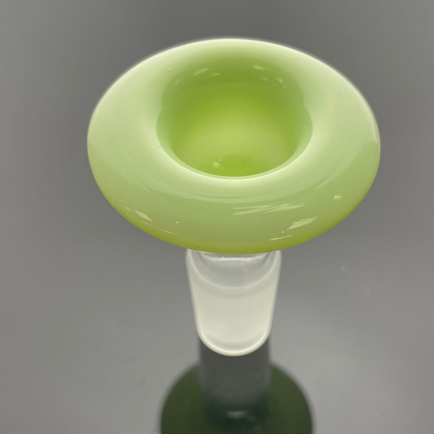 Philip Legge Medium Stemline w/ Colour Accents - Sprouts