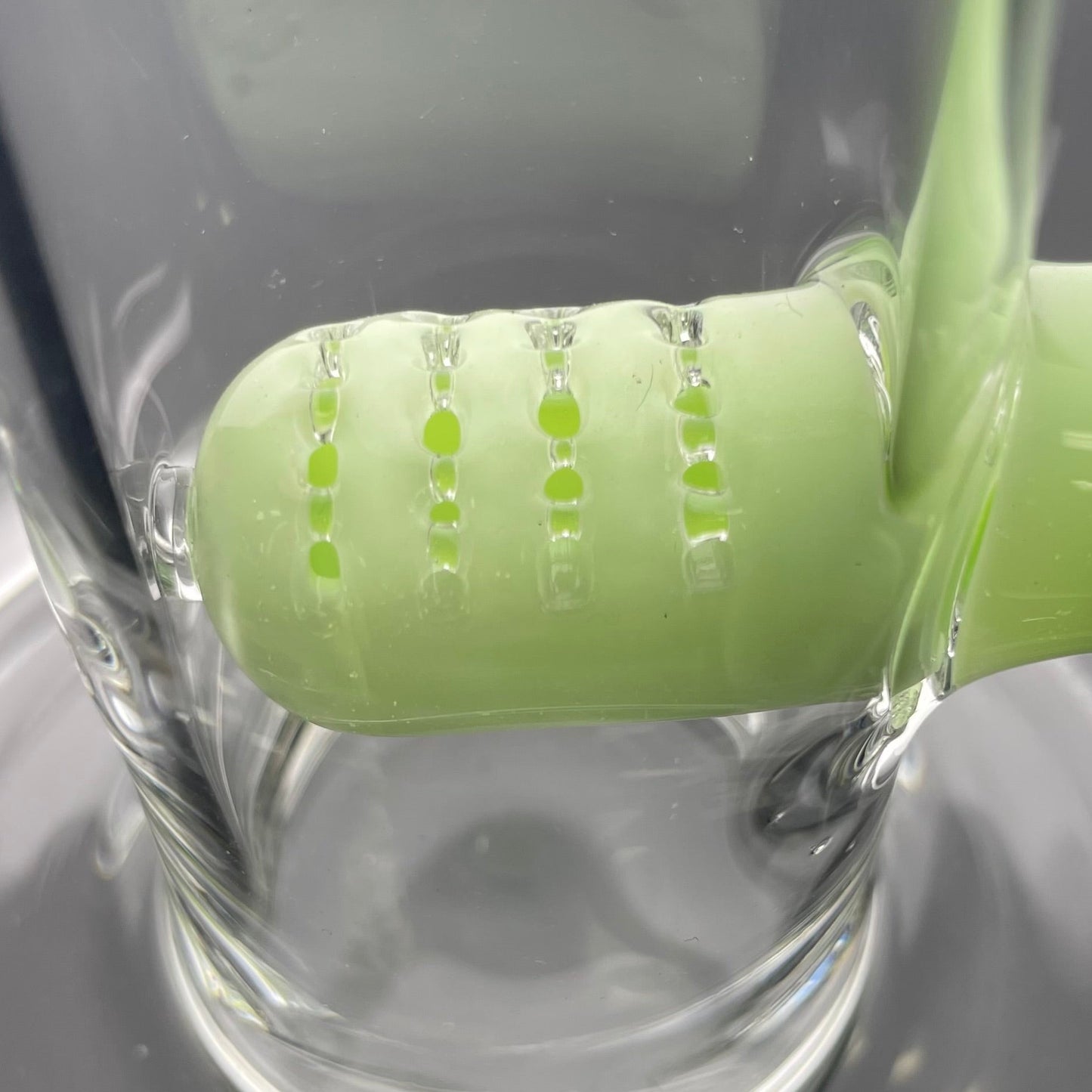 Philip Legge Medium Stemline w/ Colour Accents - Sprouts