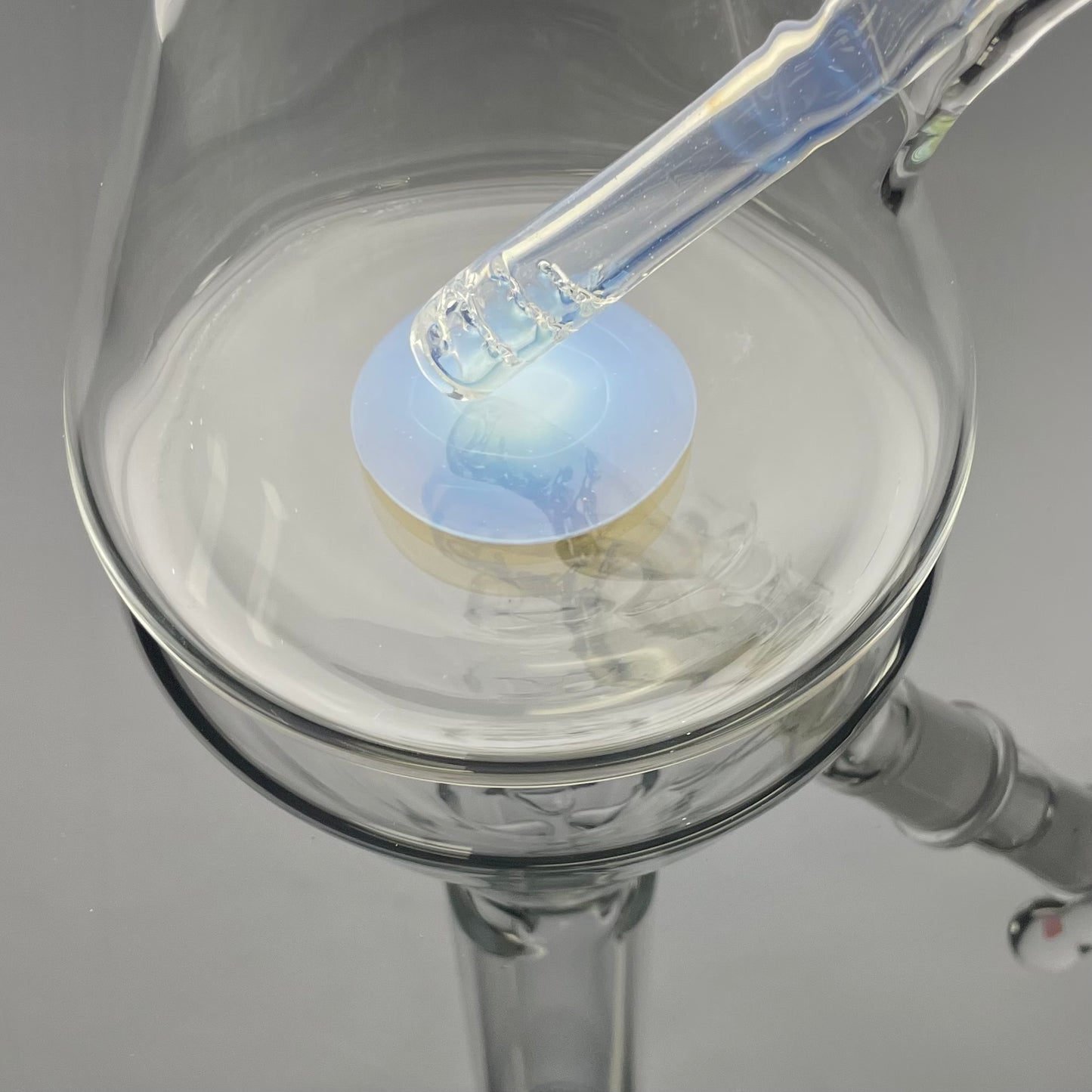 Green Belt Colour Accented Beaker - Ghost