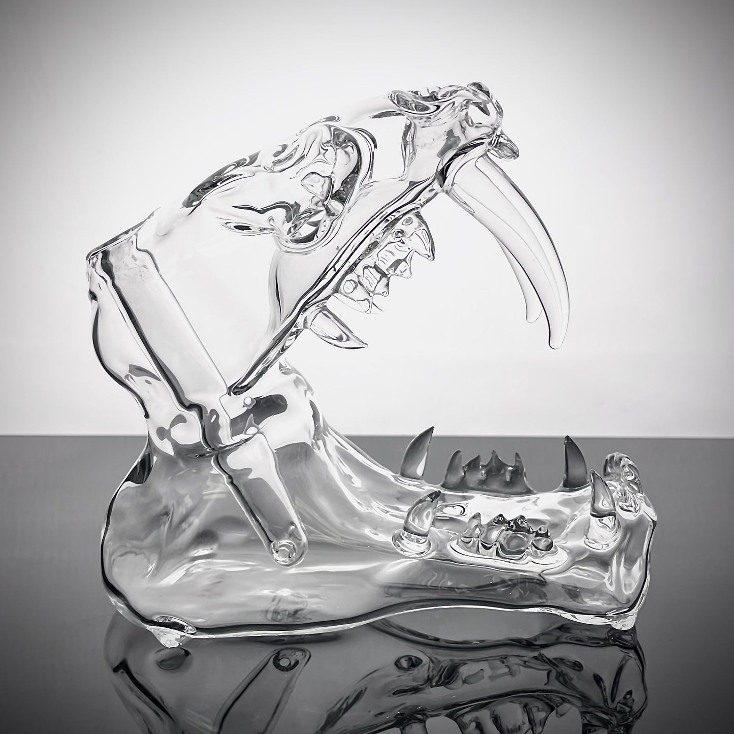 Eka Glass Clear Sabretooth Rig