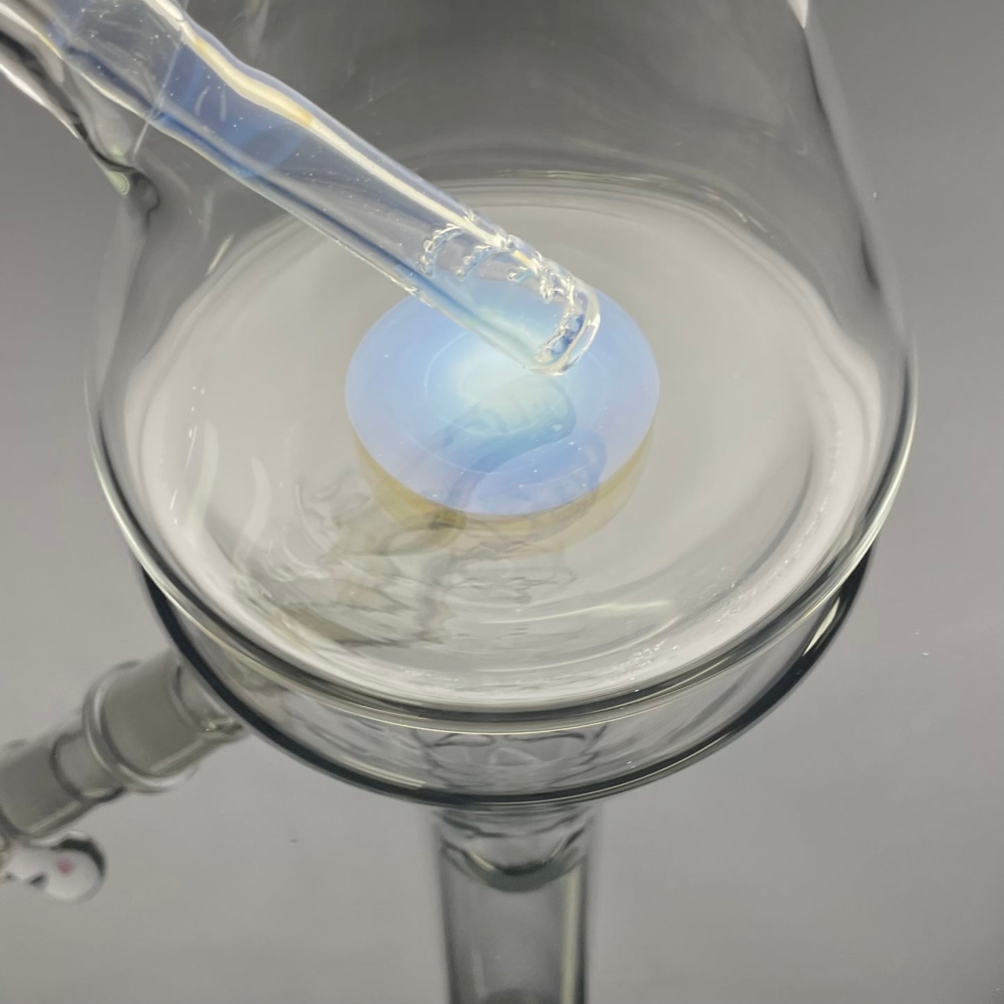 Green Belt Colour Accented Beaker - Ghost