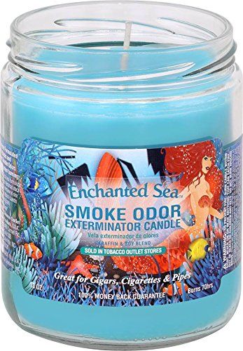 Smoke Odor Exterminator Candle 13oz