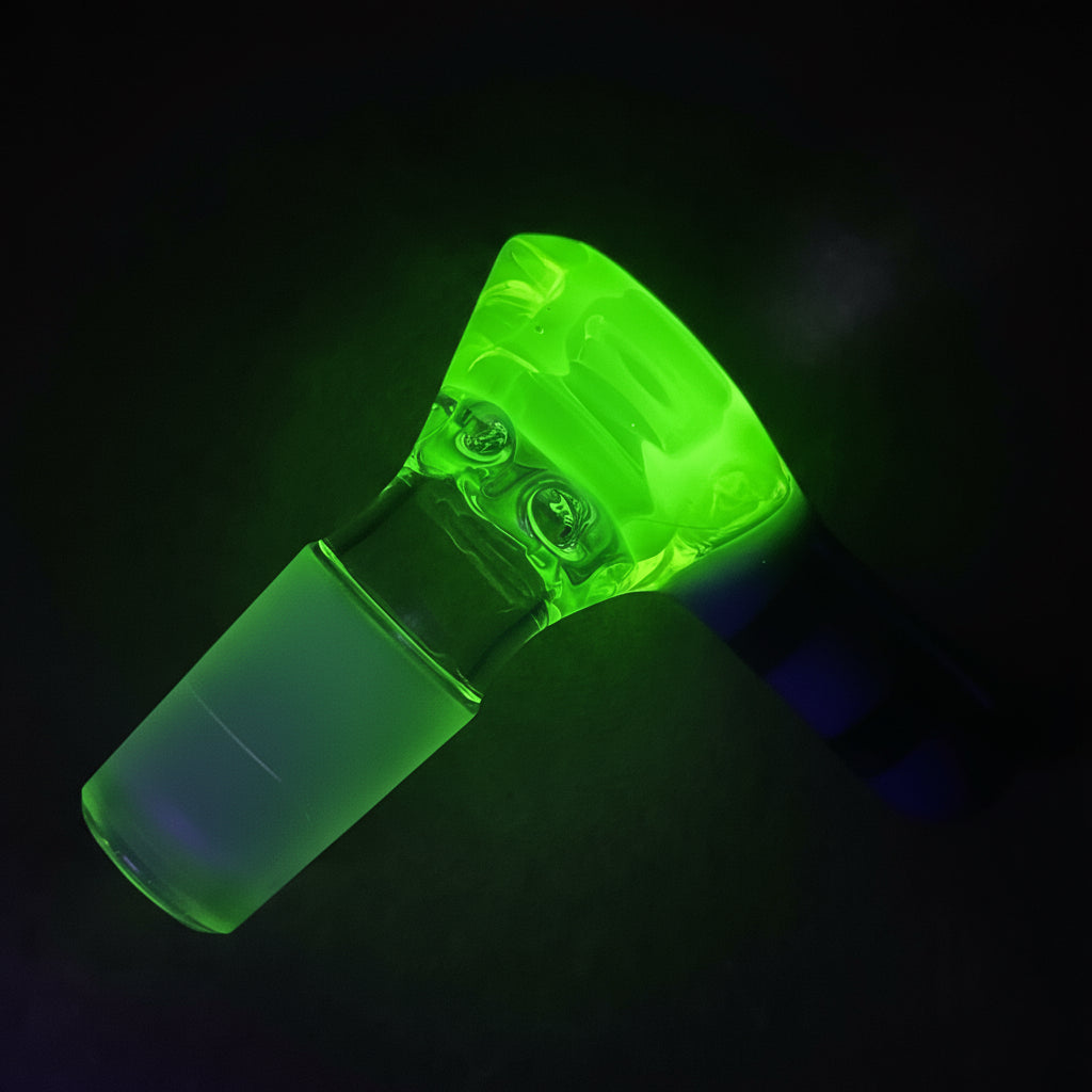 Green Belt Colour Accented Beaker - Ion