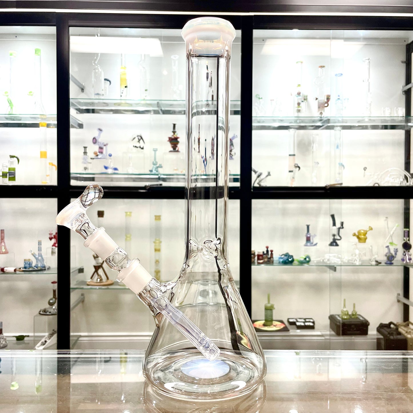 Green Belt Colour Accented Beaker - Ghost