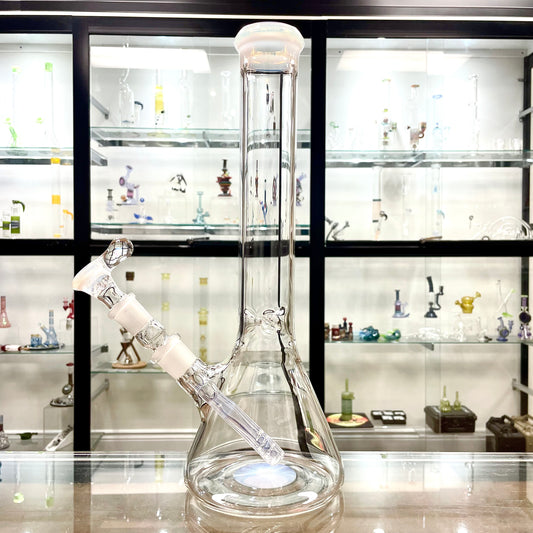 Green Belt Colour Accented Beaker - Ghost