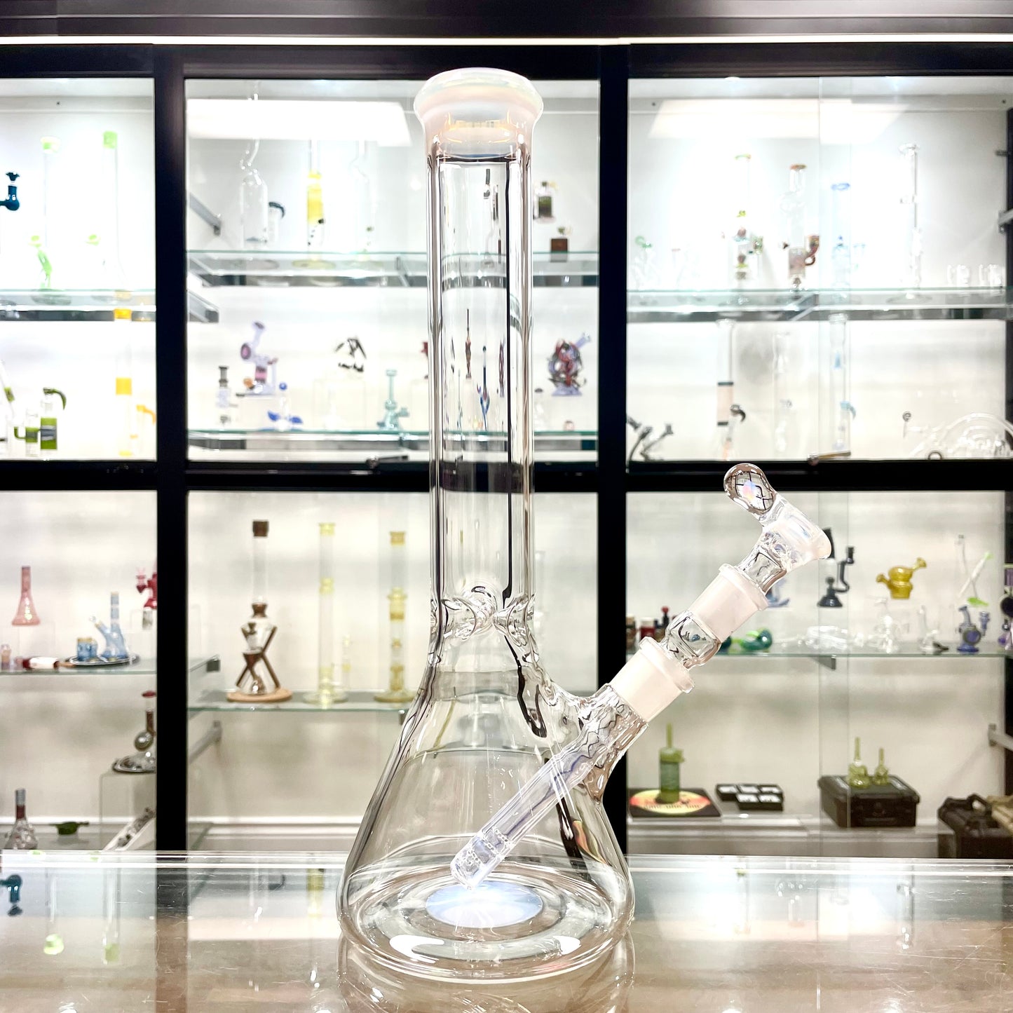 Green Belt Colour Accented Beaker - Ghost