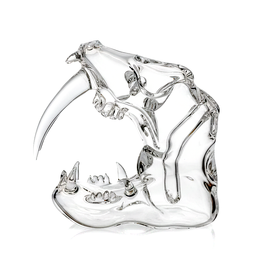 Eka Glass Clear Sabretooth Rig