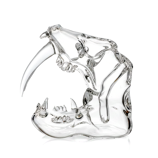 Eka Glass Clear Sabretooth Rig